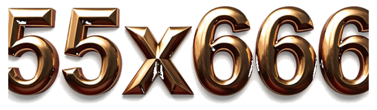 55x666 logo